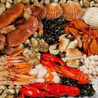 Какие бывают морепродукты?